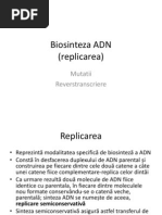 Download Biosinteza ADN by Ndr Andreea SN76375175 doc pdf