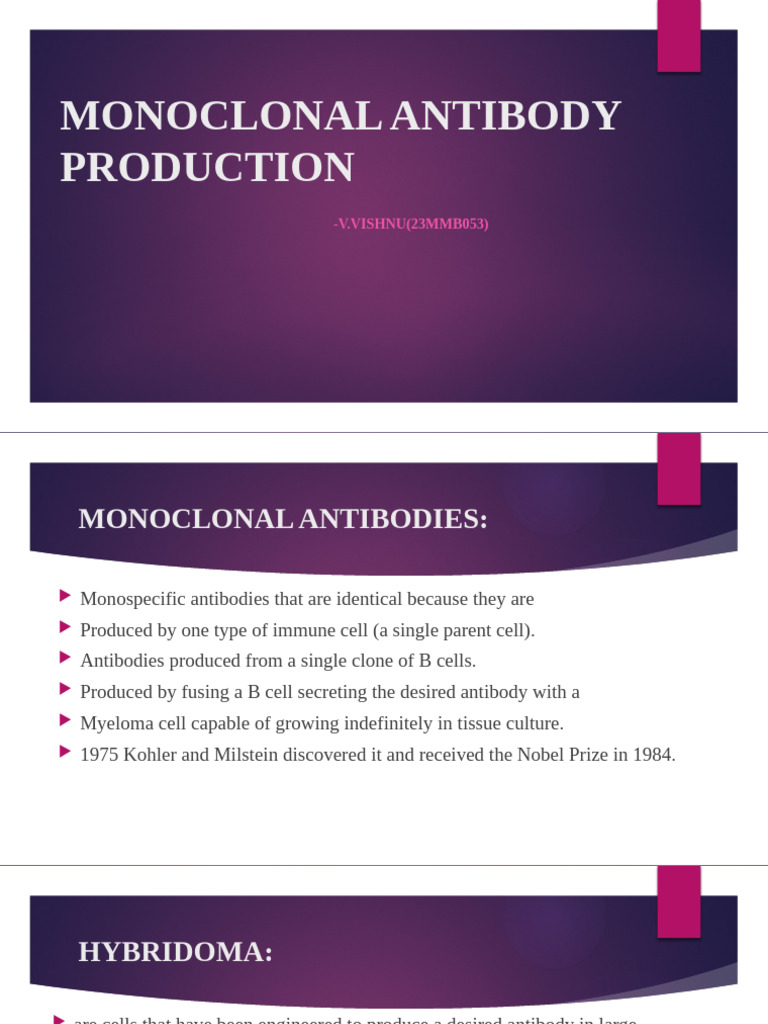 Monoclonal Antibody Production | PDF