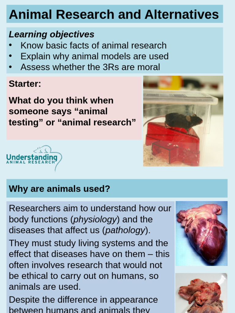Animal Research and Alternatives: Learning Objectives | PDF