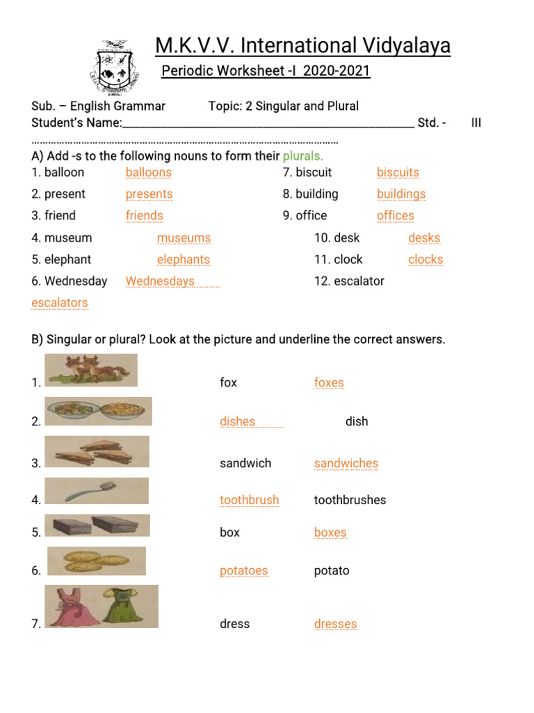 Lesson No.2 Singular and Plural | PDF