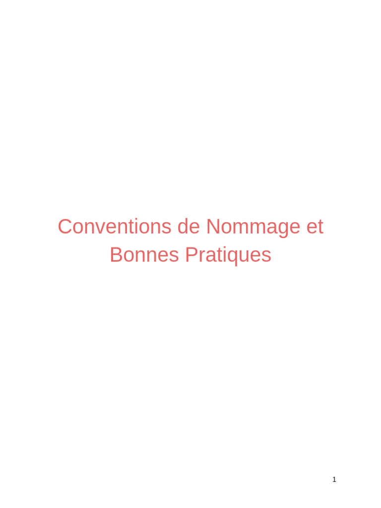 Conventions de Nommage Et Bonnes Pratiques | PDF