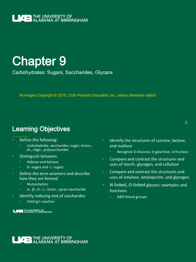 CH460+Chapter+9+students | PDF