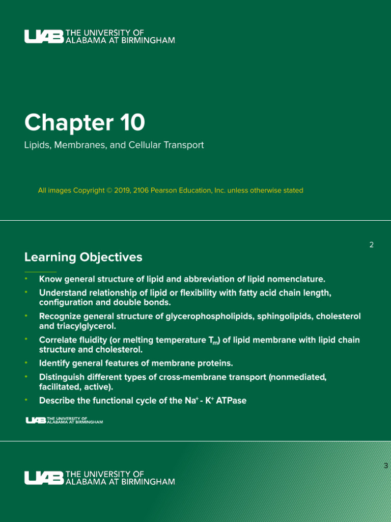 CH460+Chapter+10+students | PDF