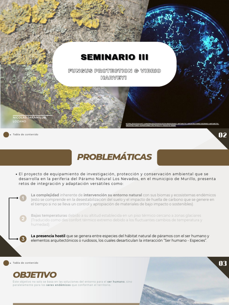 03-Caso Biomimesis Simbiotica Fungus-Bioluminiscente | PDF