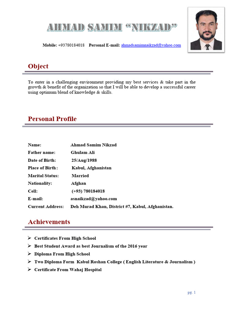 Samim Naikzad CV With Education Documents | PDF