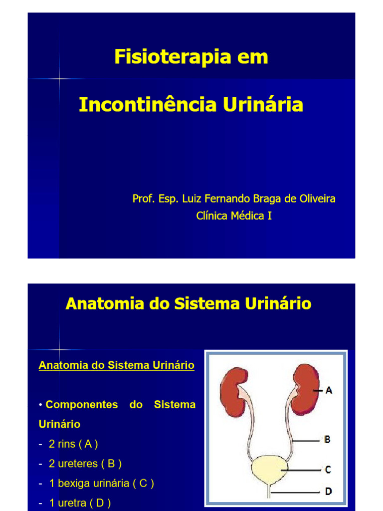 Iu PDF | PDF