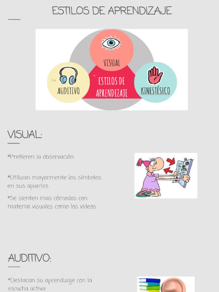 Estilos De Aprendizaje Pdf Libro – AYSPAK