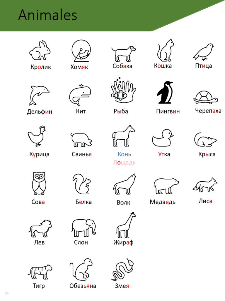 Animales | PDF