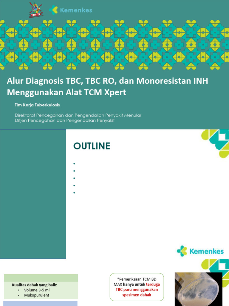 Alur Diagnosis TBC Menggunakan Alat TCM 2024 - 24072024 - TBRO | PDF