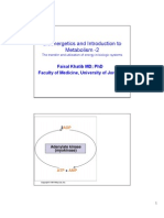 Bioenergetics - 2 Handout