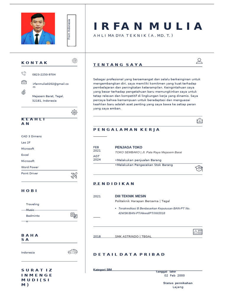 CV Lite - The #1 CV Builder Online | PDF