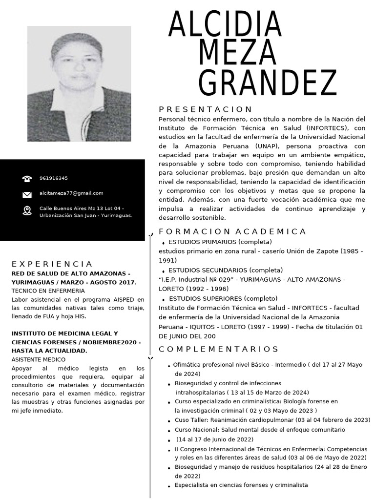 Cv alcidia meza grandez 2024 pdf