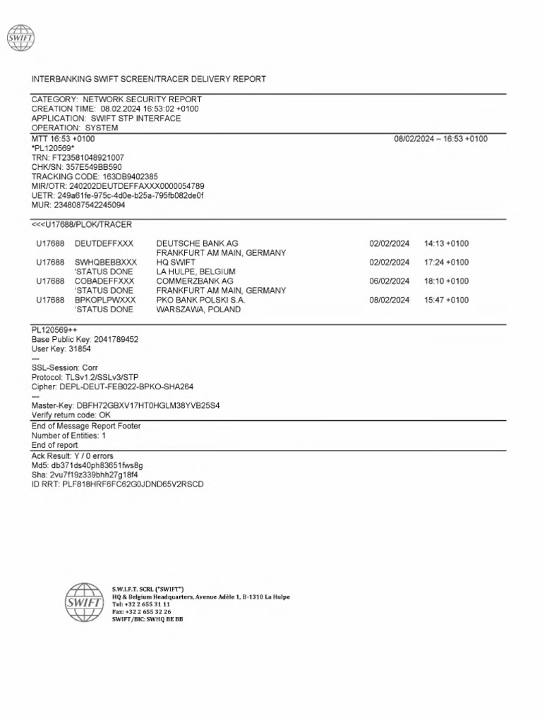 Interbanking Swift Screen Tracer Delivery Report 08 02 2024 Swift | PDF