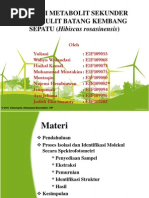 Download Isolasi Metabolit Sekunder Dari Kulit Batang Kembang Sepatu Revisi Jilid 7 by Najemi D Hendriawan SN76397467 doc pdf