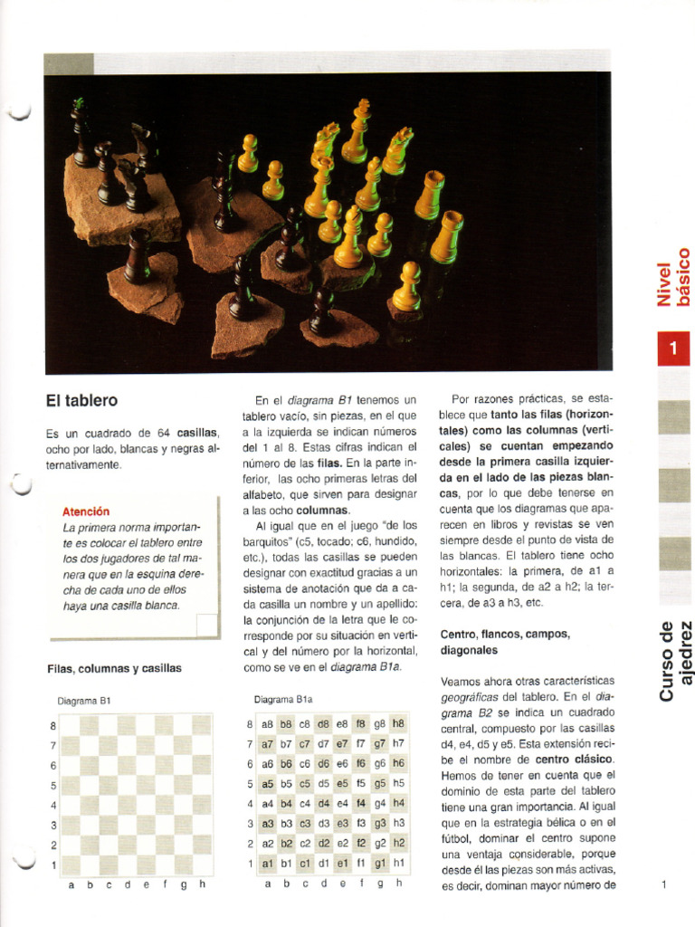 La Pasion Del Ajedrez - Nivel Basico | PDF | Ajedrez | Teoría del ajedrez