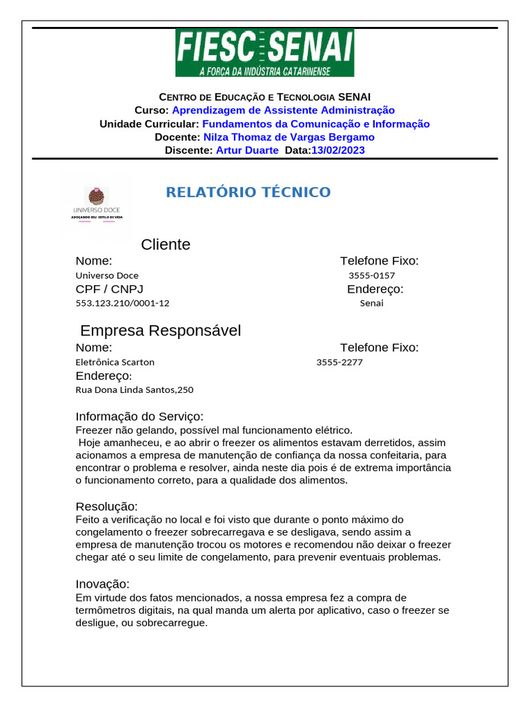 relatorio-tecnico-pdf