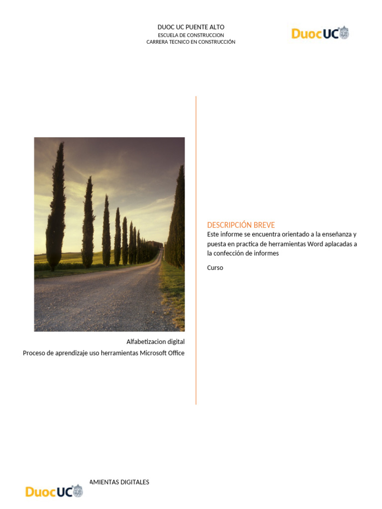 Plantilla Informe - RAR | PDF