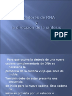 Cebadores de RNA