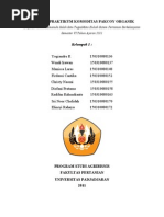 Download Pakcoy Pakchoy Pak coi by Wendi Irawan Dediarta SN76407440 doc pdf