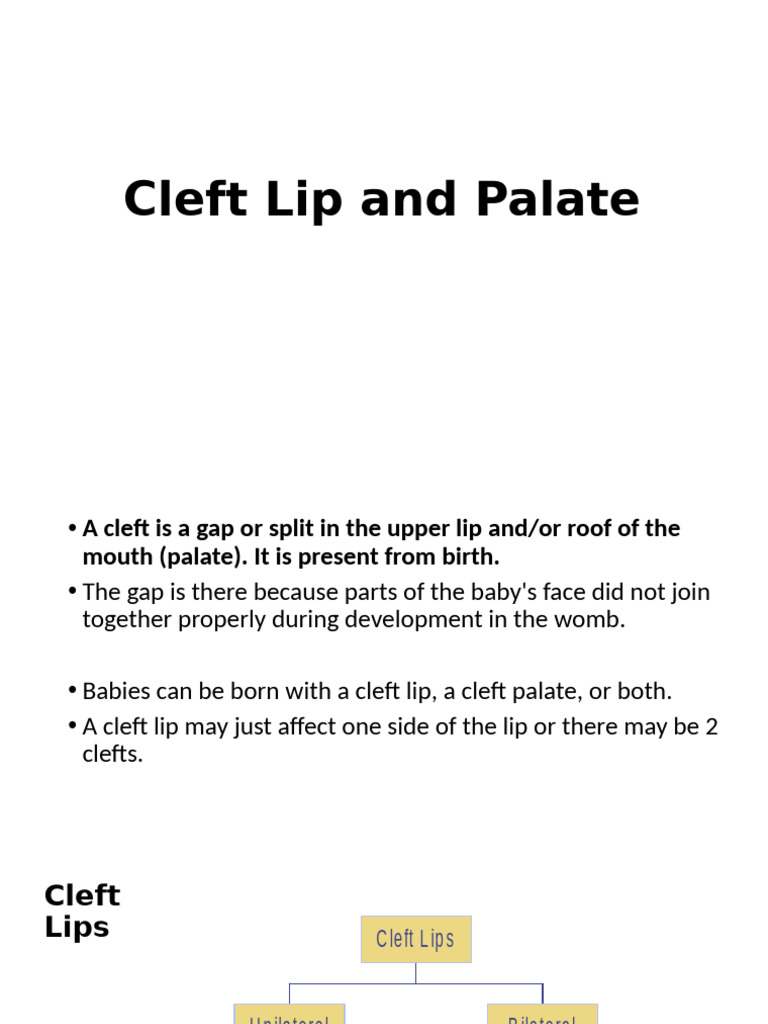 Understanding Cleft Lip and Palate | PDF | Medicine | Congenital Disorder
