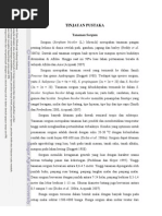 Download BAB II Tinjauan Pustaka by AndyAbdillahMursyid SN76410033 doc pdf
