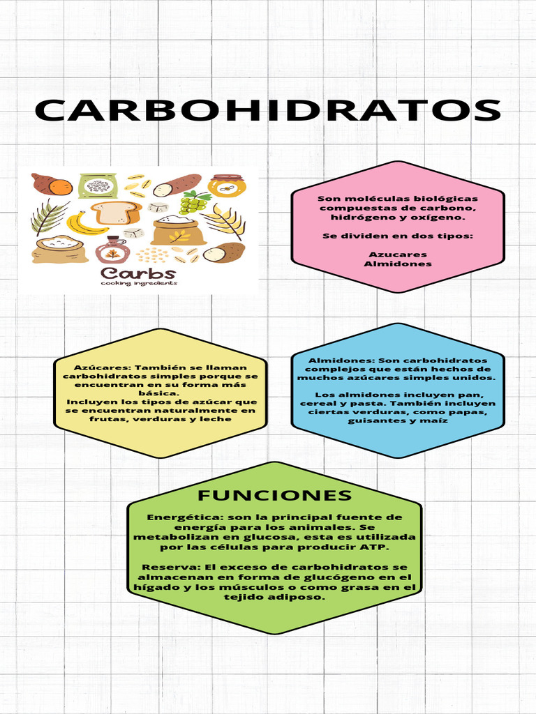 Infografía Carbohidratos Pdf