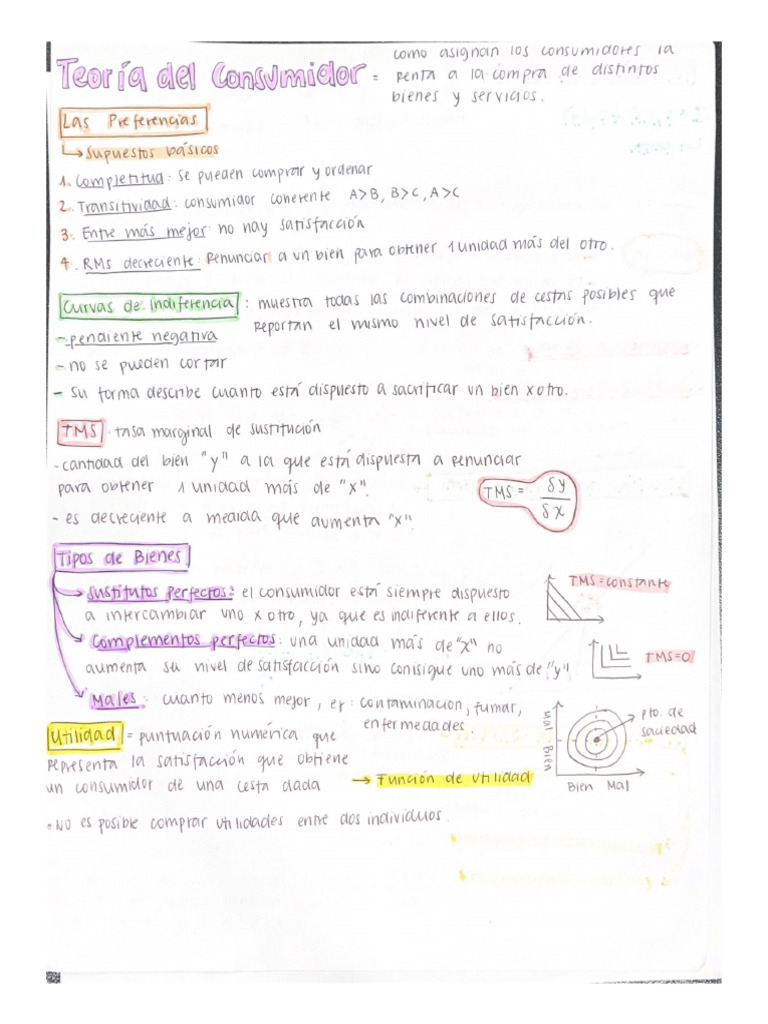Resumen Micro | PDF