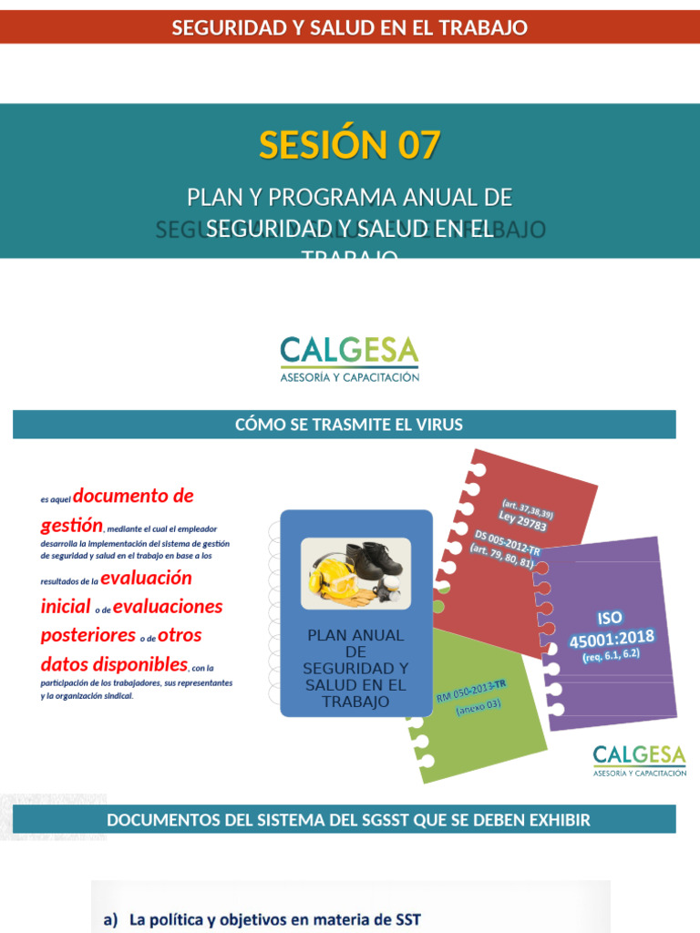 SESIÓN 07 - Plan y Programa Anual de Seguridad y Salud en El Trabajo | PDF