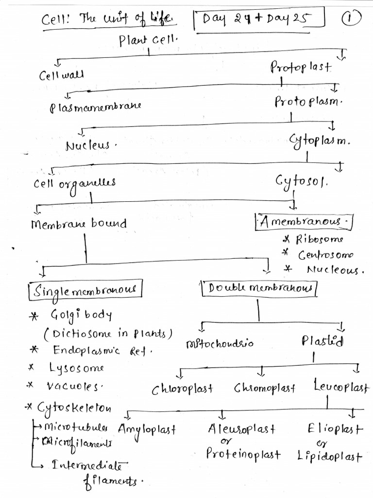 Cell the unit of life part 1 2 3 23767763 2024 08 10 21 08 pdf