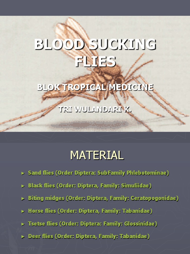 Tropical Blood-Sucking Flies Guide | PDF | Fly | Insects