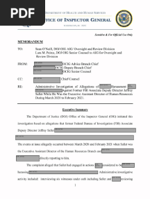 Sallet OIG Report