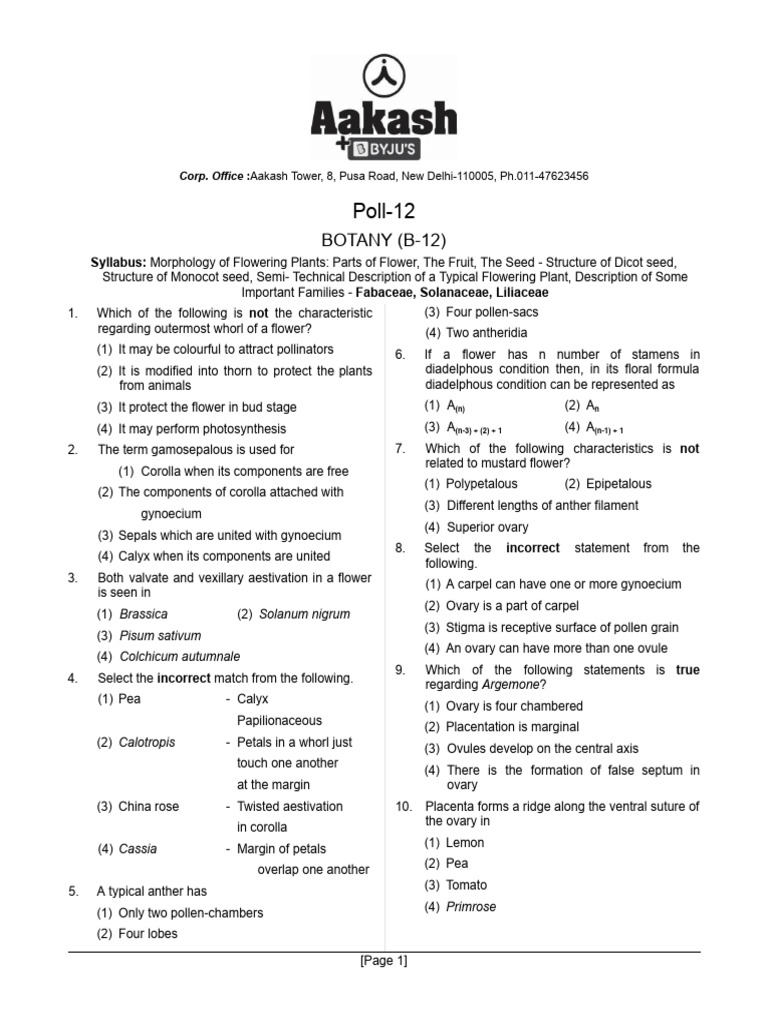 Morphology Part 2 Pdf
