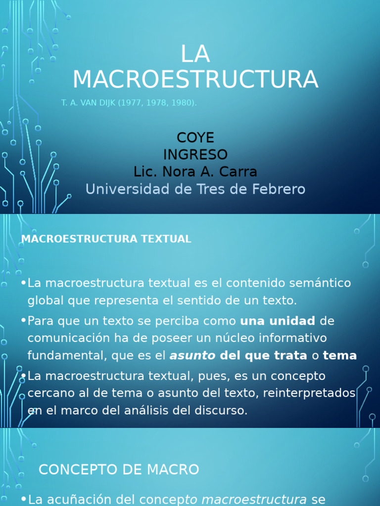 Macroestructura - COYE 2 | PDF