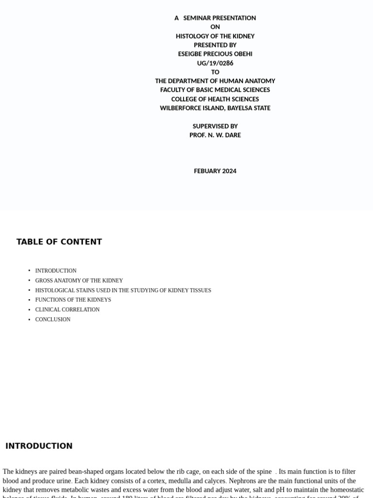 Behi Presentation | PDF