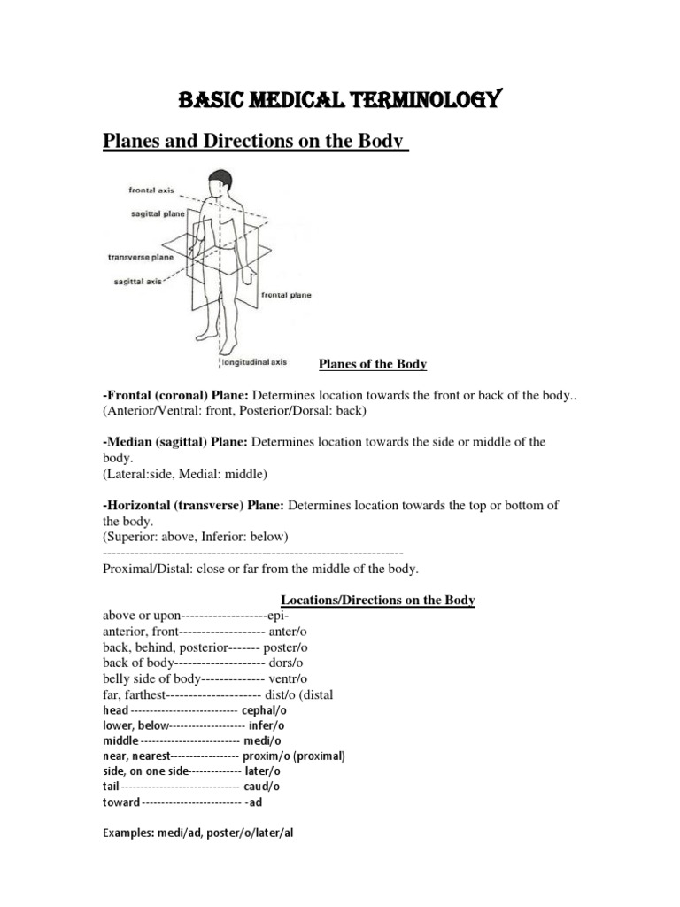 Basic Medical Terminology Anatomical Terms Of Motion