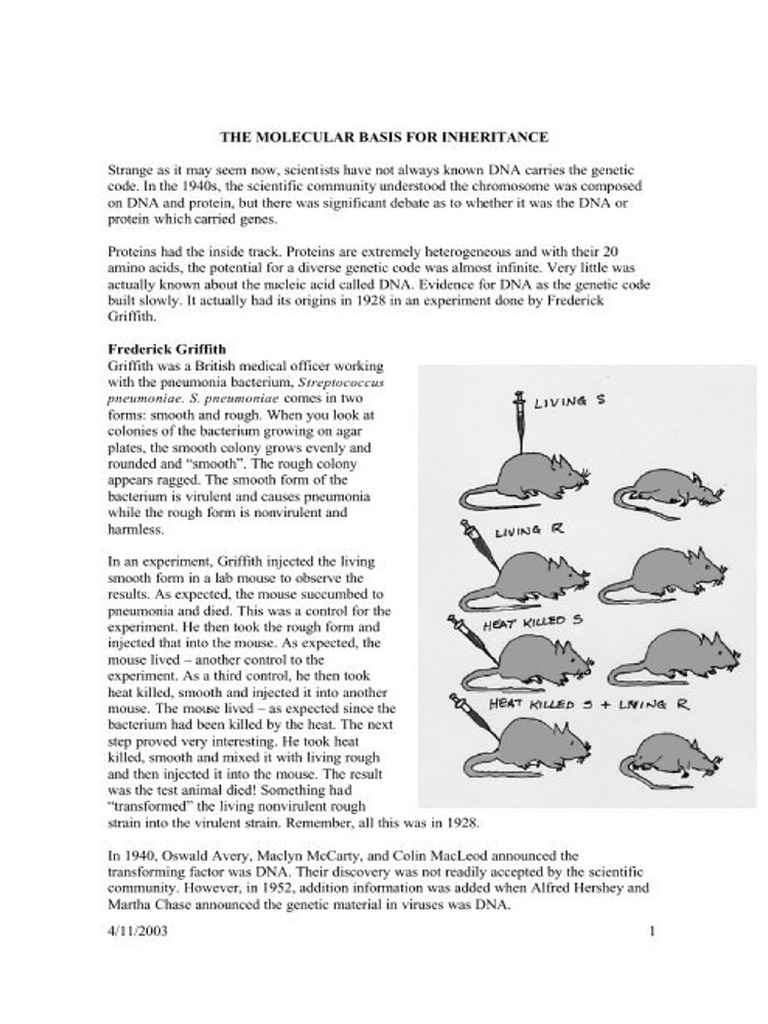 The Molecular Basis For Inheritance Strange As It May | PDF