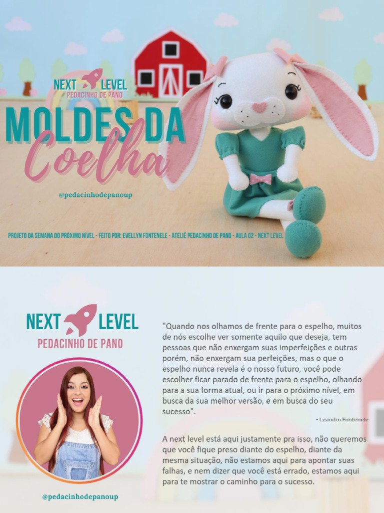 Apostila+Coelha+de+Moldes+ +Next+Level | PDF