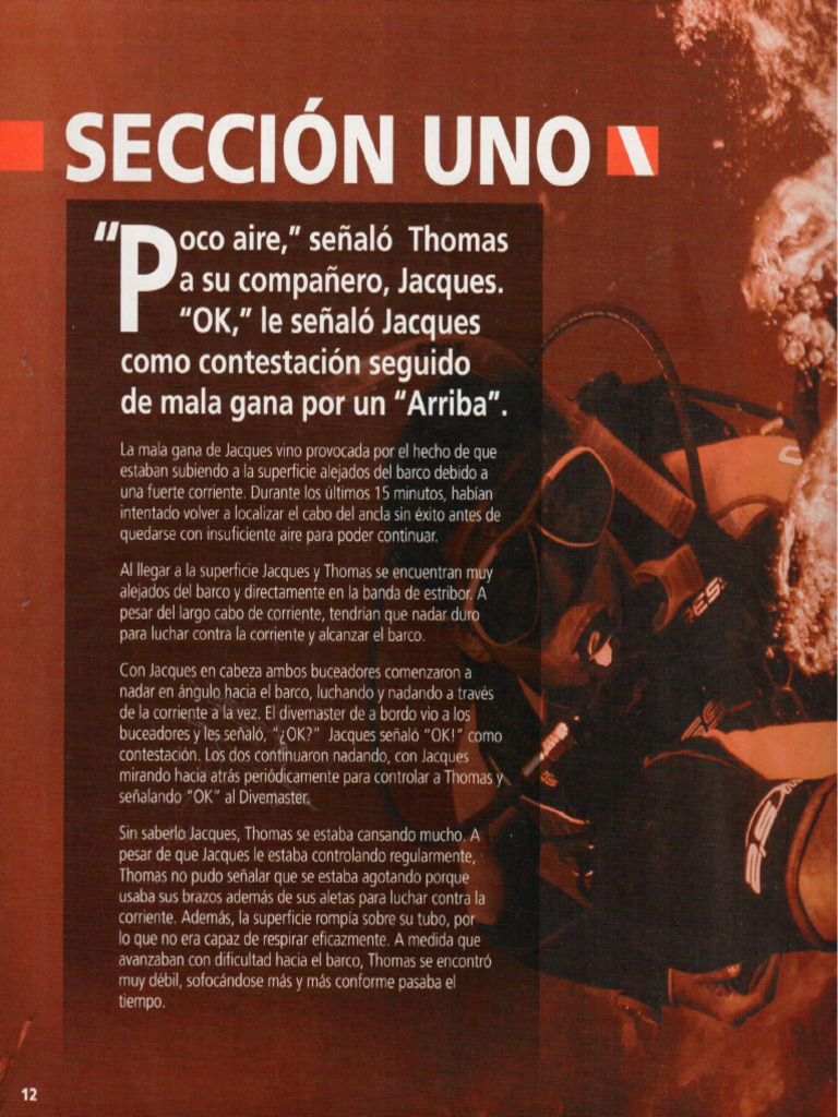 Seccion Uno | PDF