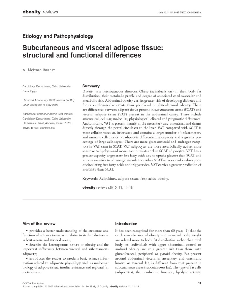 Subcutaneus and Visceral Adipose Tissue | PDF