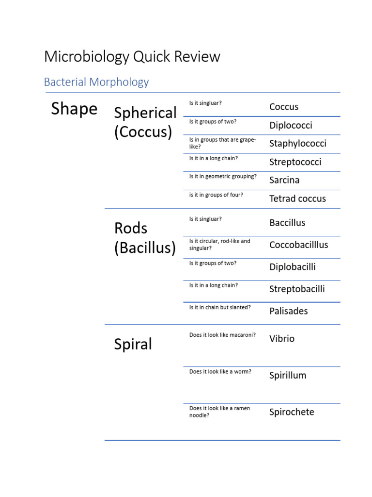 Micro Review Sheet | PDF