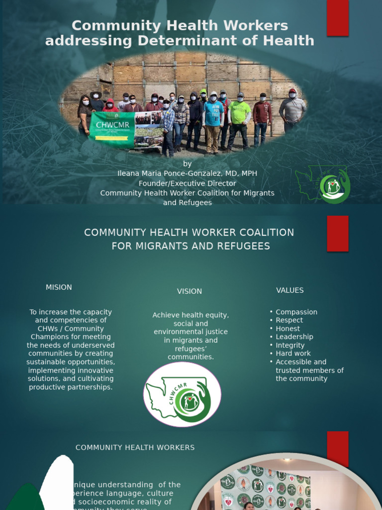 CHWs Addressing Social Determinants of Health | PDF
