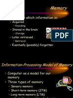 Memory: Process by Which Information Is