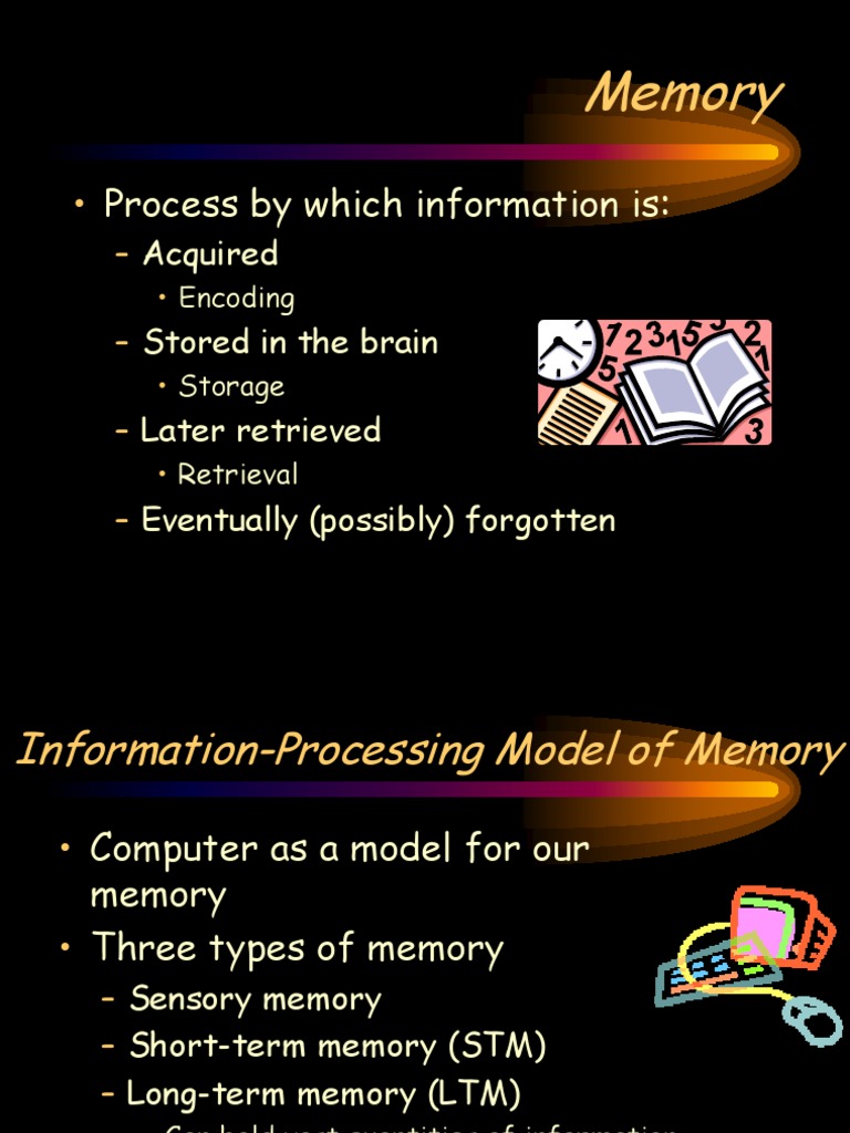 Understanding Memory: Types and Processes | PDF | Technology & Engineering
