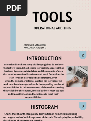 Chapter 6 Tools Operational Auditing 2 | PDF