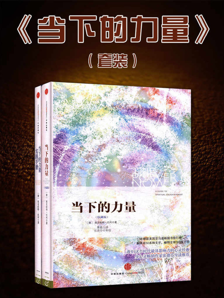 当下的力量| PDF