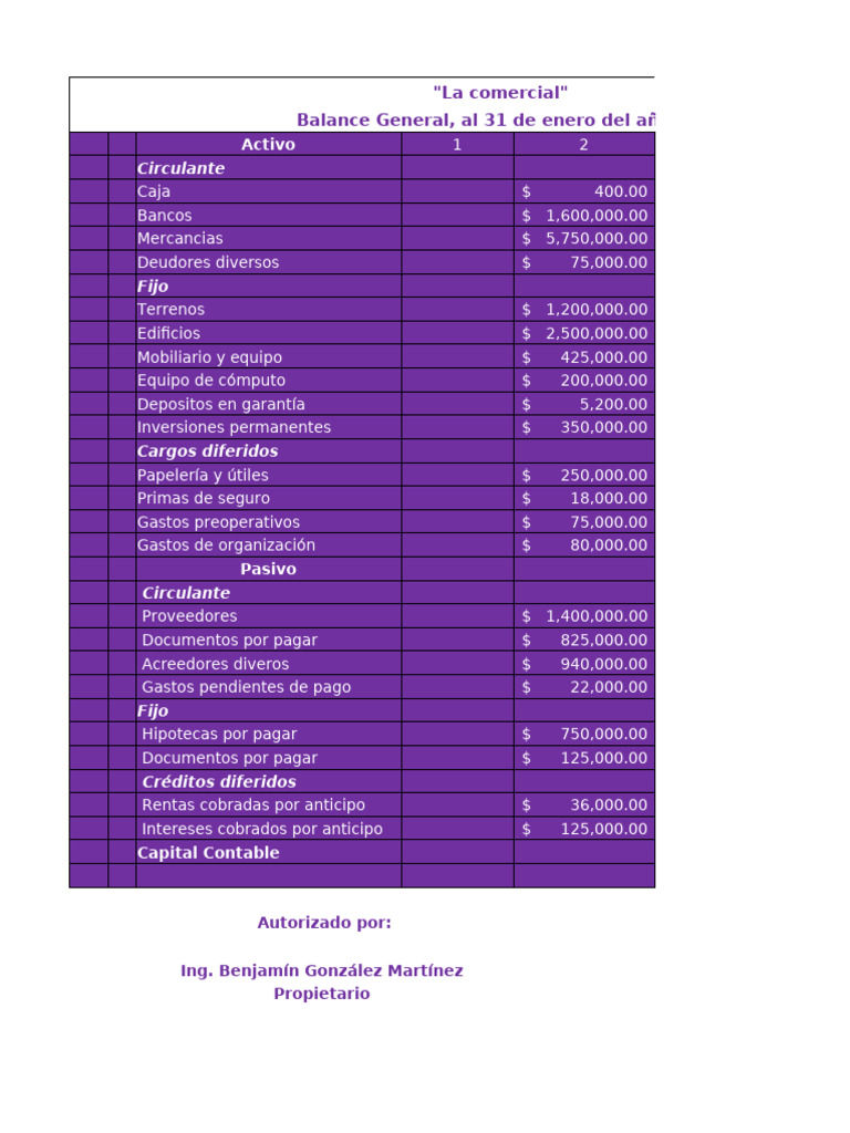 Balances Generales en Forma de Reporte y en Forma de Cuenta | PDF