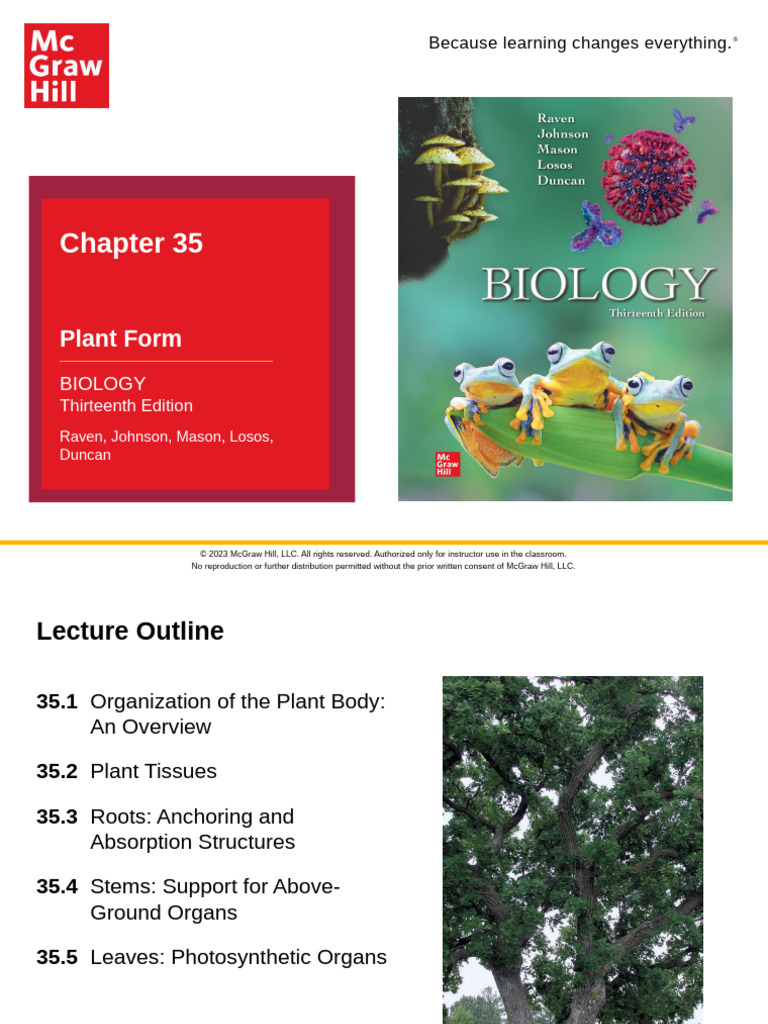 Chapt 35 | PDF