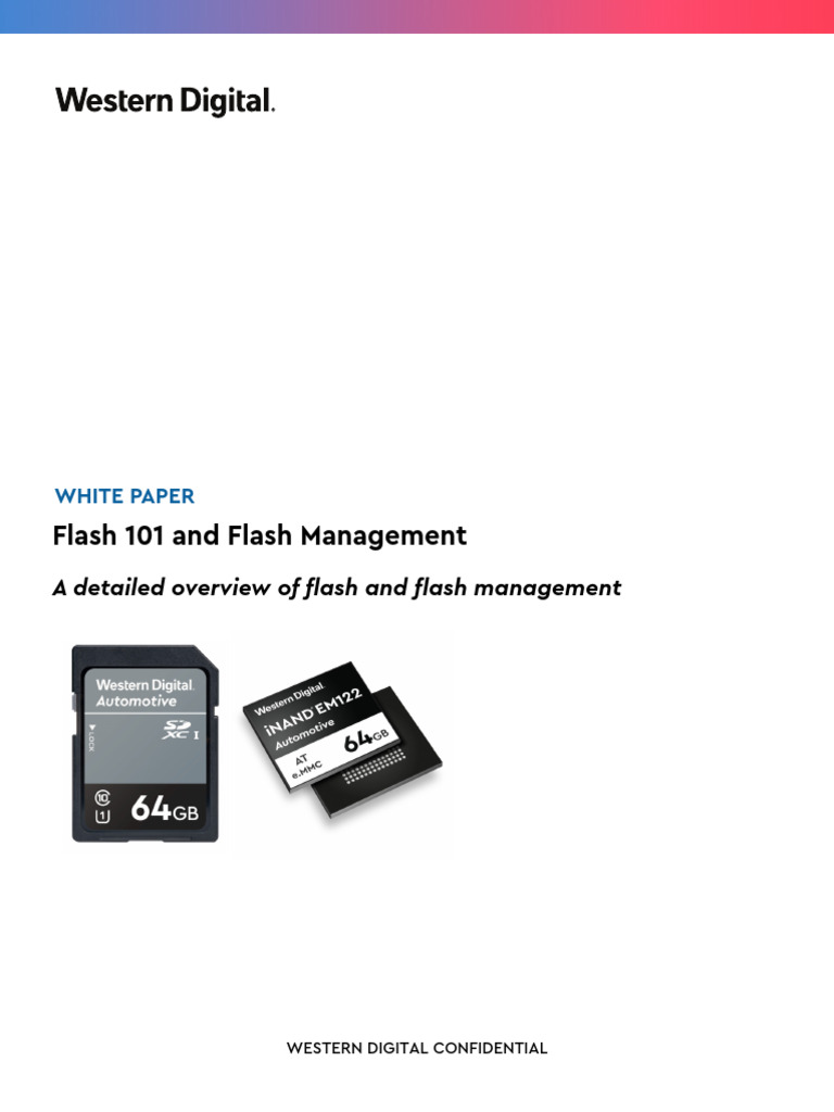 White Paper Sandisk Flash101 Management | PDF