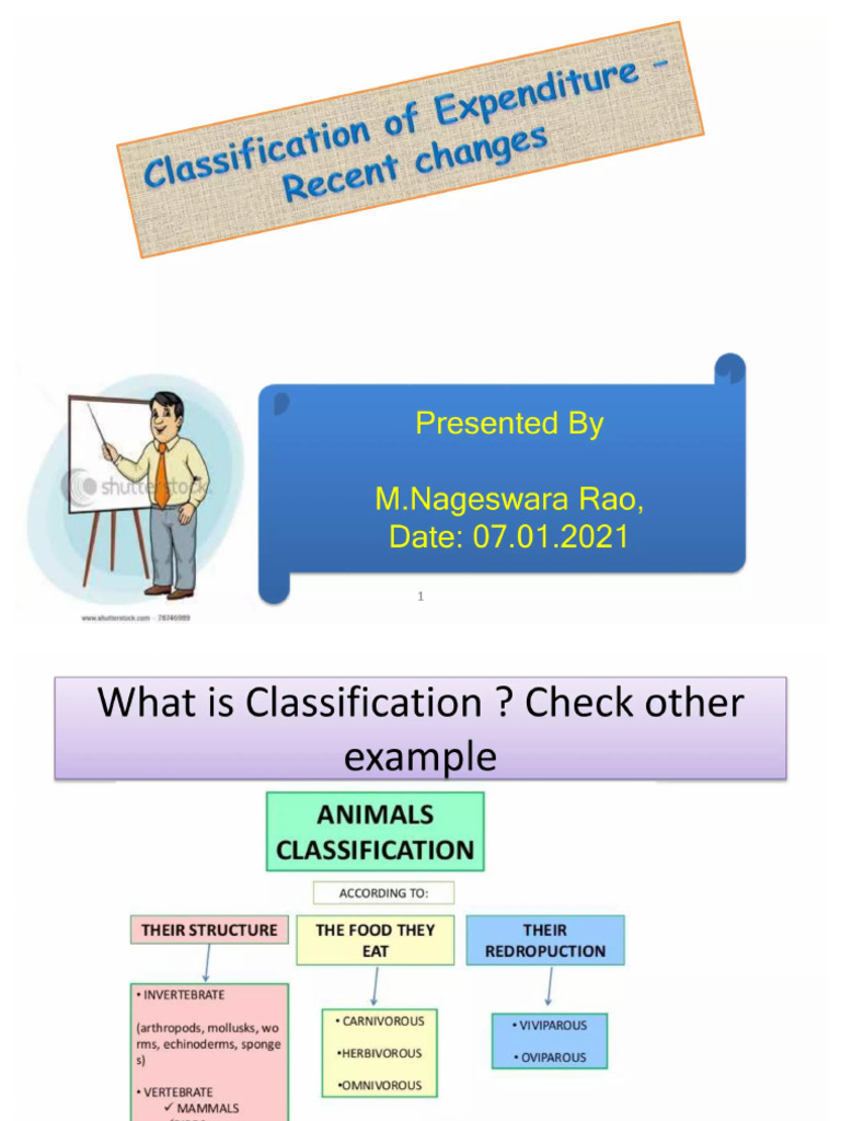 Classification of Expenditure Recent Changes 07 01 2021 | PDF