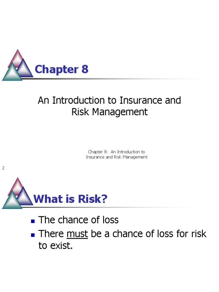 Chapter 8: An Introduction To Insurance and Risk Management | PDF